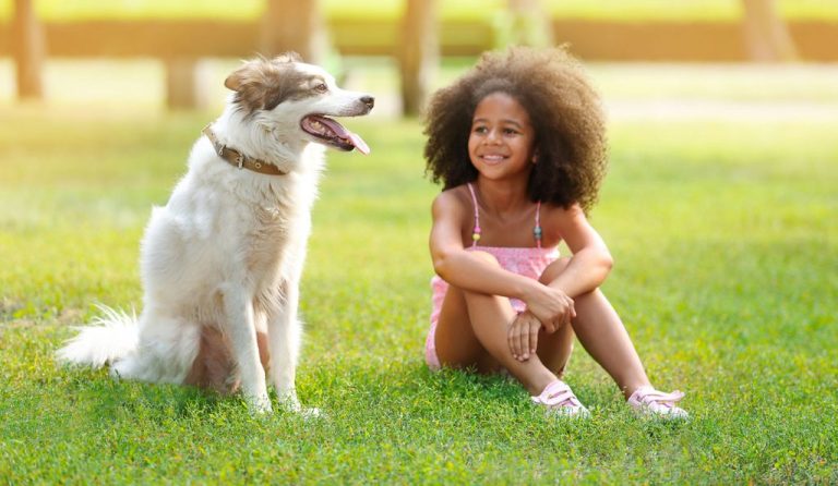 Dog and child sitting together in the grass on a sunny day